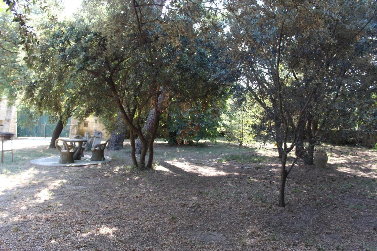 Le Mas De Lucien Entre Arles, Nimes, Avignon. Beaucaire  Ngoại thất bức ảnh