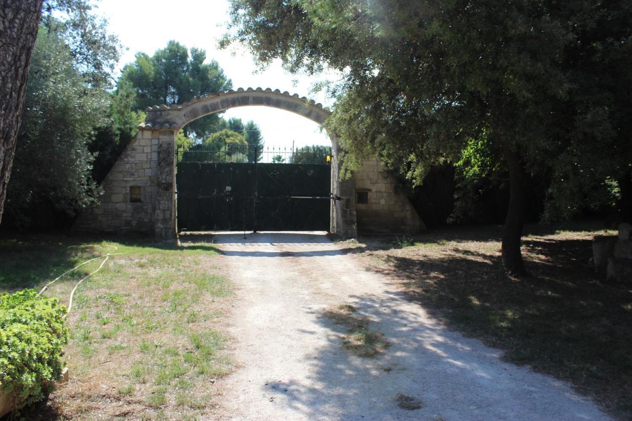 Le Mas De Lucien Entre Arles, Nimes, Avignon. Beaucaire  Ngoại thất bức ảnh
