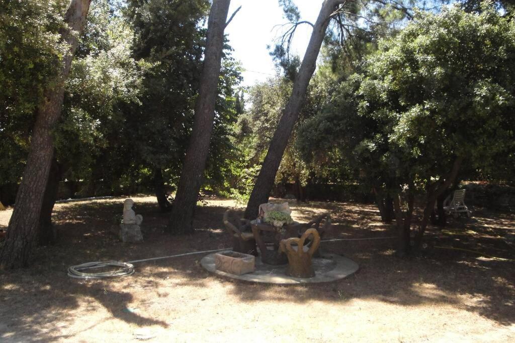 Le Mas De Lucien Entre Arles, Nimes, Avignon. Beaucaire  Ngoại thất bức ảnh