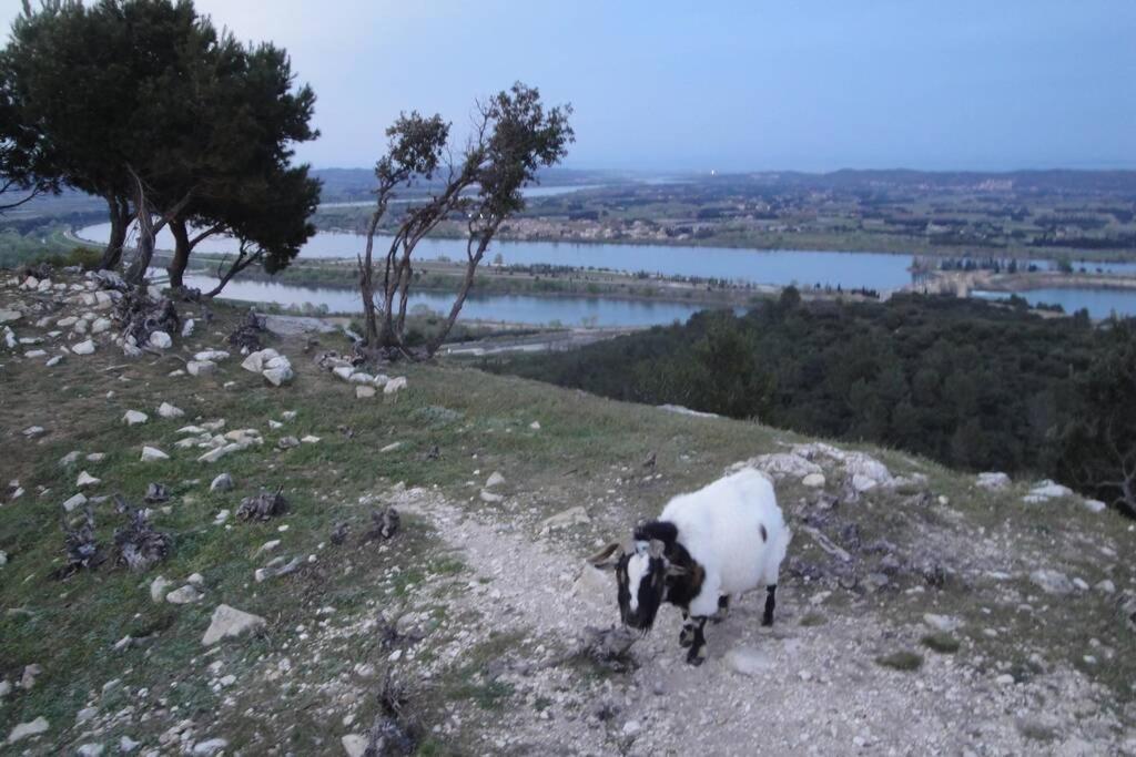 Le Mas De Lucien Entre Arles, Nimes, Avignon. Beaucaire  Ngoại thất bức ảnh