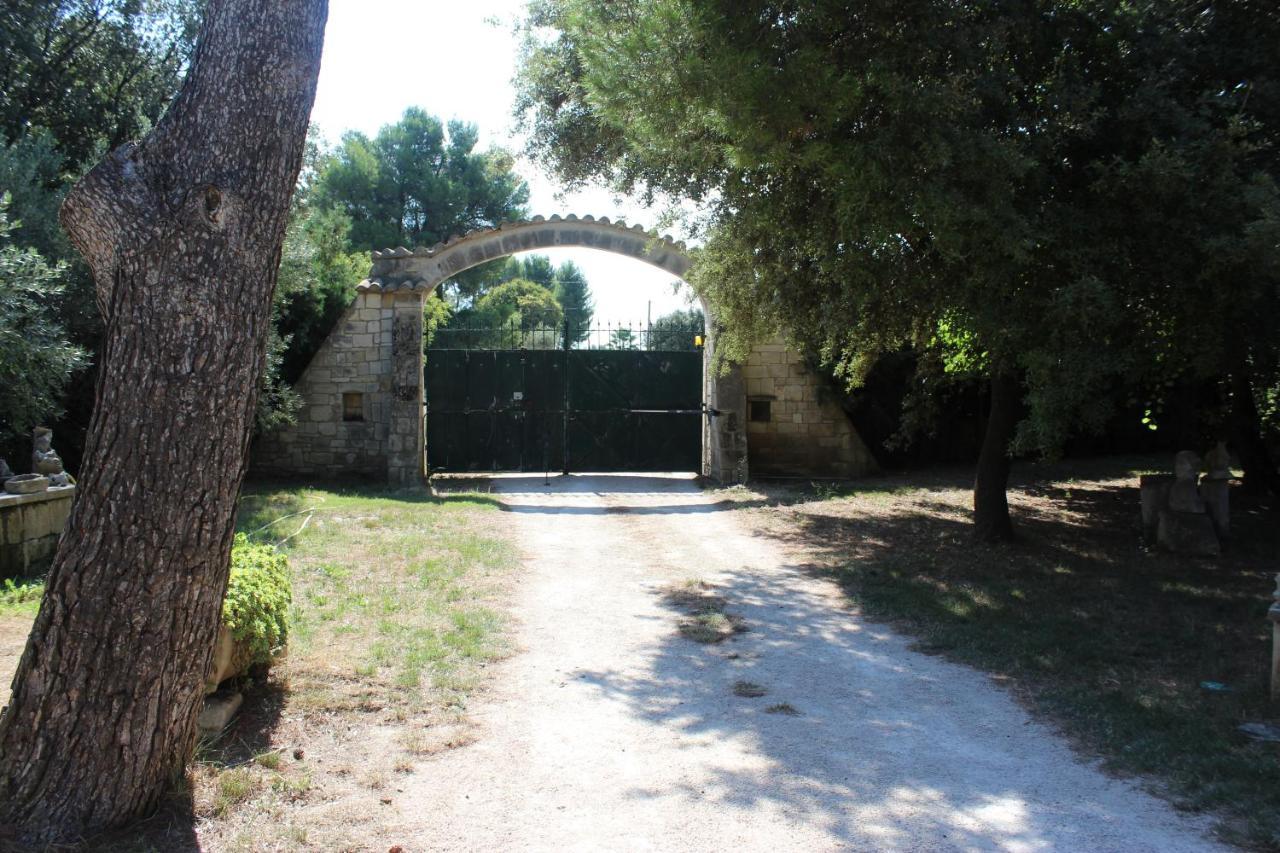 Le Mas De Lucien Entre Arles, Nimes, Avignon. Beaucaire  Ngoại thất bức ảnh