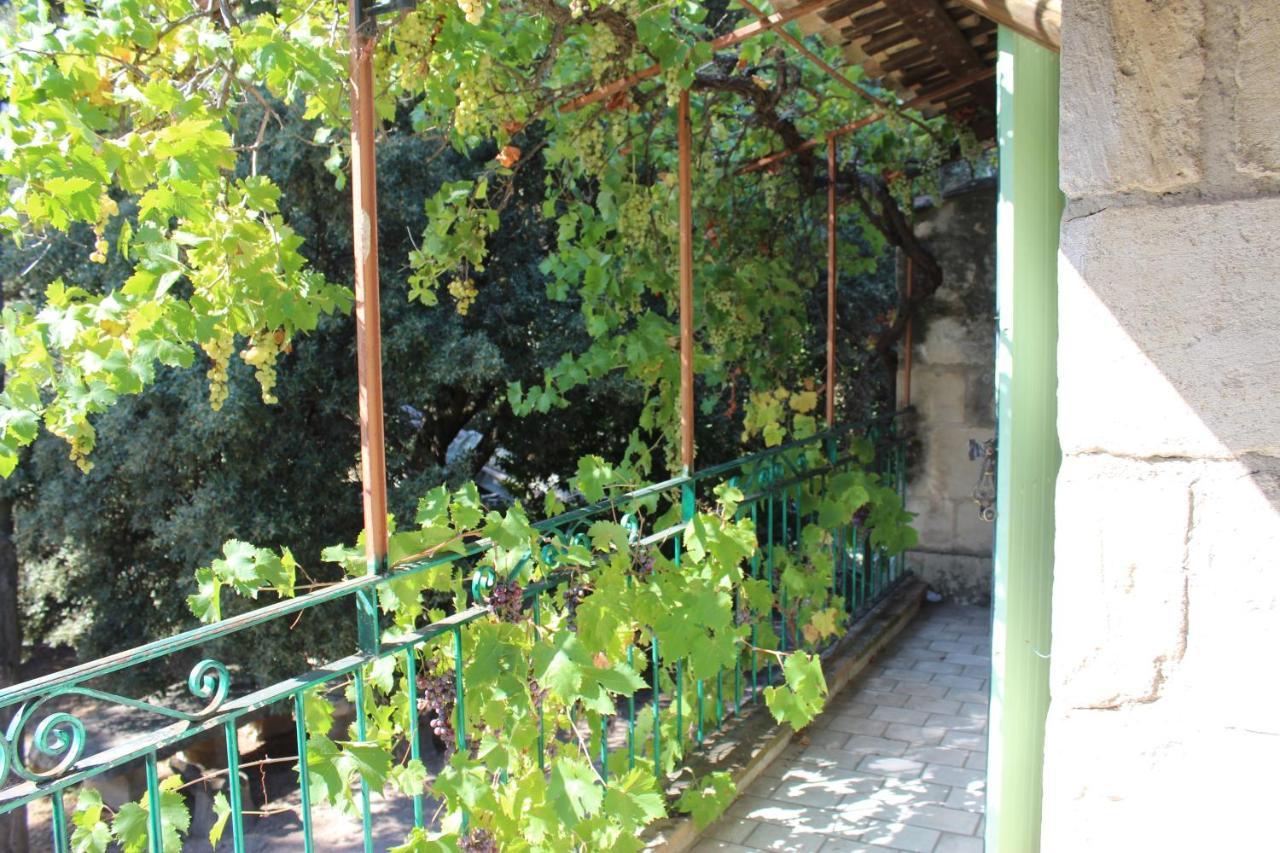 Le Mas De Lucien Entre Arles, Nimes, Avignon. Beaucaire  Ngoại thất bức ảnh